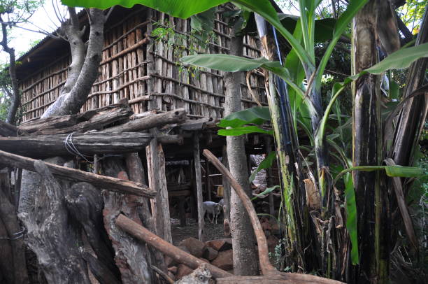 istock Traditional Konso tribe village 1082423980