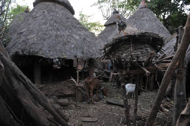 istock Traditional Konso tribe village 1082424022