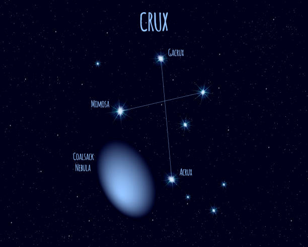 Crux constellation, vector illustration with the names of basic stars Crux (The Southern Cross) constellation, vector illustration with the names of basic stars against the starry sky southern cross stock illustrations