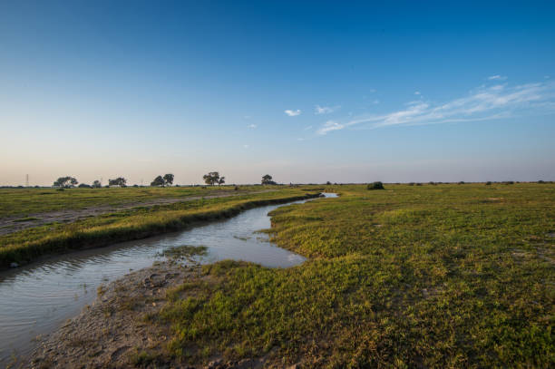 istock Rawda Al Ghaf National Park 1082424840