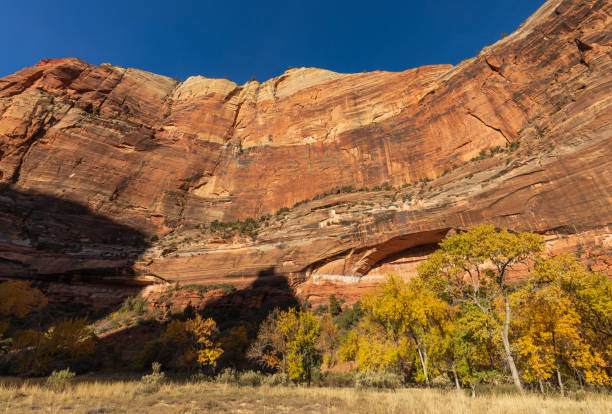 istock Zion National Park Autumn Landscape 1082426188