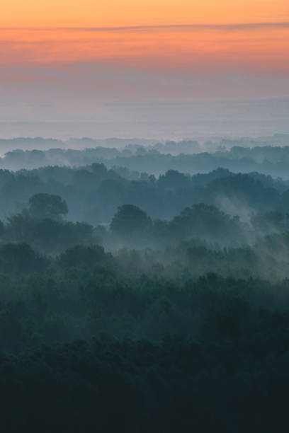 istock Mystical view from top on forest under haze at early morning. Mist among layers from tree silhouettes in taiga under warm predawn sky. Morning atmospheric minimalistic landscape of majestic nature. 1082428886
