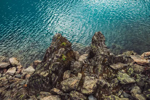 Photo of Rocky shore. Water edge. Shiny surface of azure mountain lake. Stony bottom in transparent water. Minimalist blue background. Reflection of mountains on clear water. Vegetation on stones. Copy space.