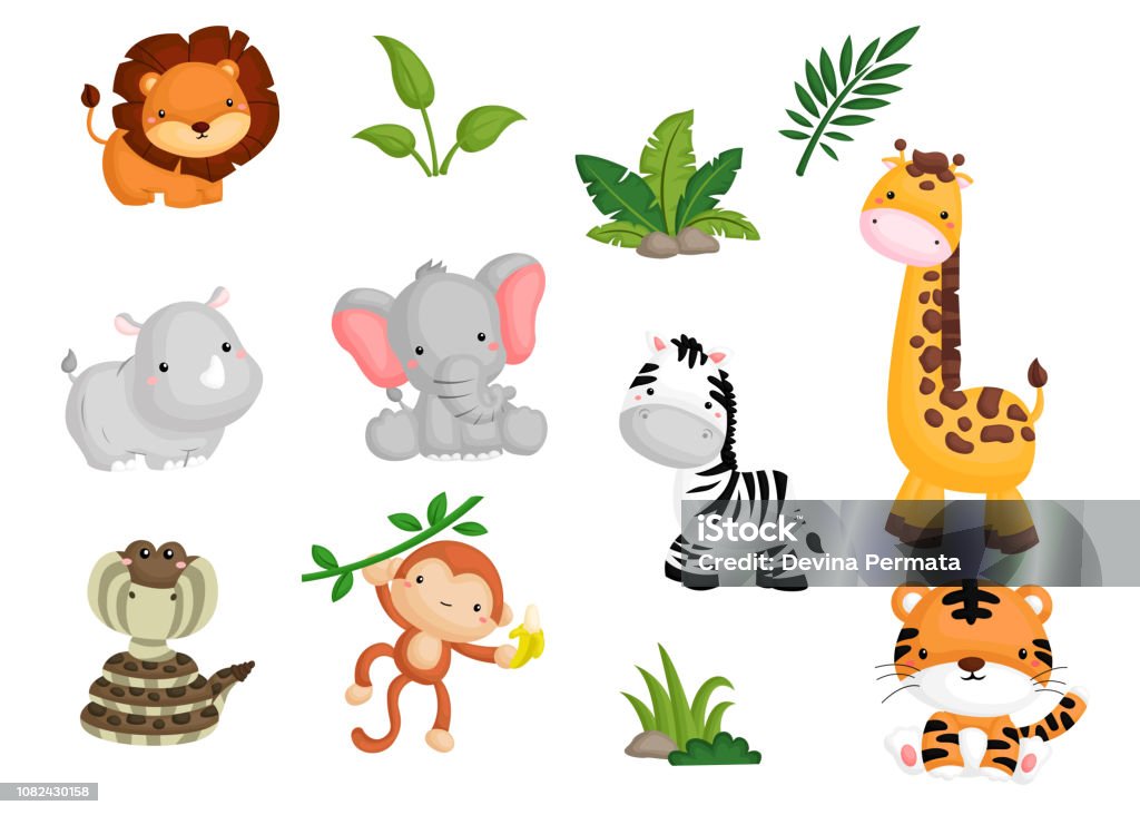 Jungle Animal Image Set Stock Illustration - Download Image Now - Animal,  Rainforest, Cartoon - Istock