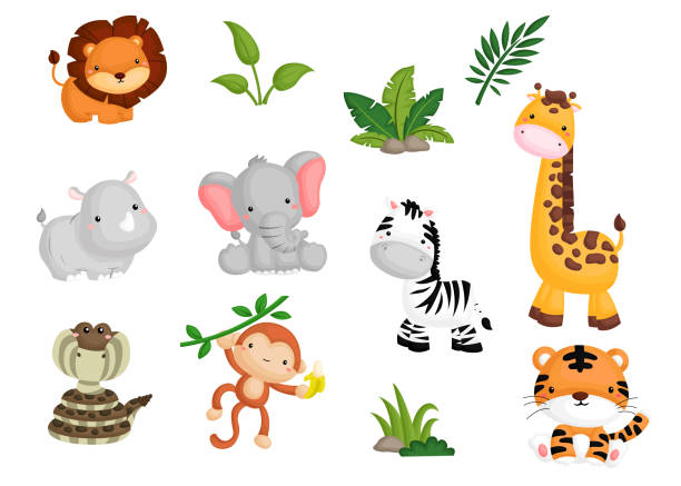 Jungle Animal Image Set Stock Illustration - Download Image Now - Animal,  Rainforest, Cartoon - iStock
