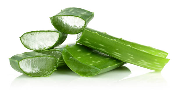 Sliced fresh aloe vera Sliced fresh aloe vera isolated on white background aloe plant alternative medicine body care stock pictures, royalty-free photos & images