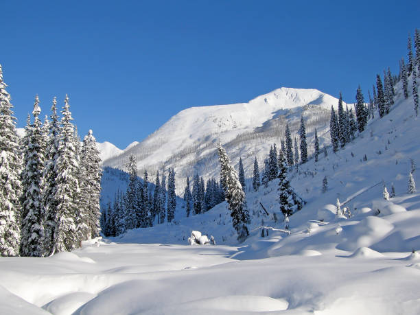 istock Snowcovered trees in The Bugaboos, a mountain range in the Purcell Mountains, Bugaboo Provincial Park, Britisch Columbia 1082451278