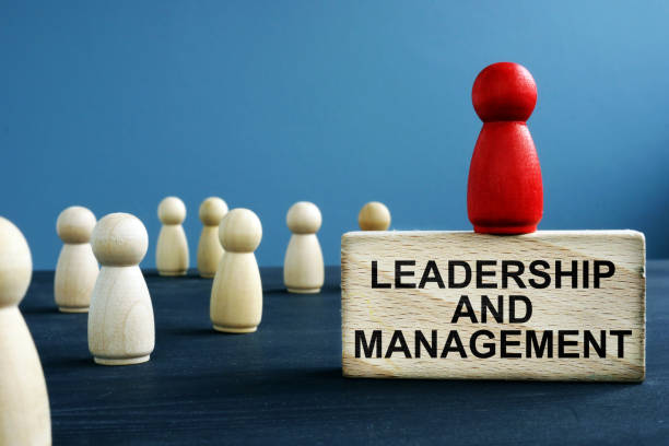 istock Leadership and management written on a wooden block. 1082457724
