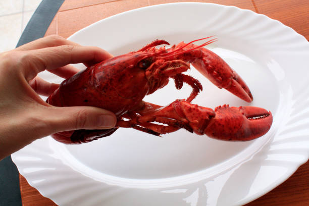 istock Lobster cooked on in the hand 1082460936