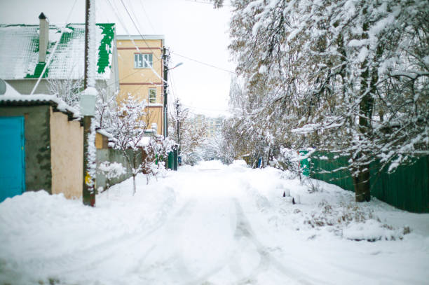 istock Beautiful winter forest landscape with snow. 1082463538