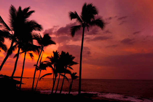 istock Kona sunset Big Island Hawaii 1082464110