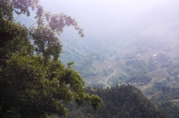 istock Mountain landscape with blurry background and sun flare 1082468494