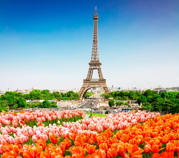istock eiffel tour and from Trocadero, Paris 1082472580