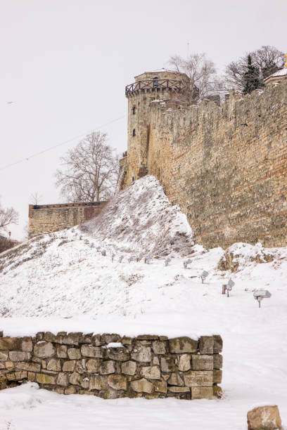 istock Fortress under the snow 1082488866
