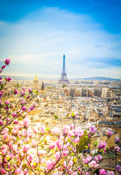 istock skyline of Paris with eiffel tower 1082490206