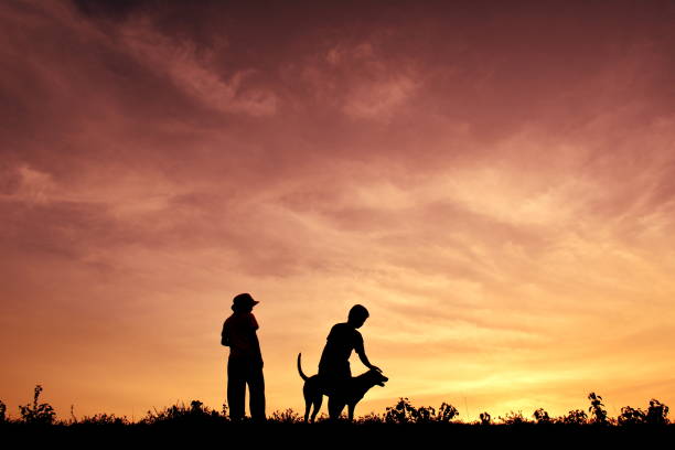 istock Silhouette Brothers With Dog Standing On Field During Sunset 1082491130