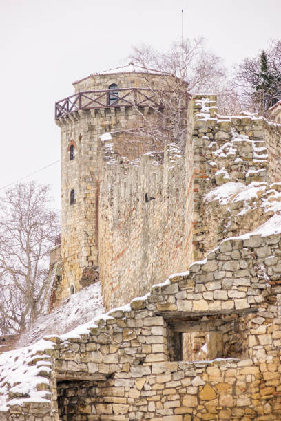 istock Fortress under the snow 1082491178