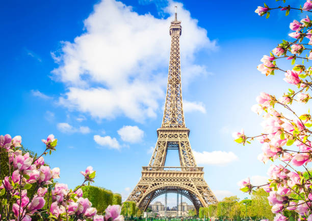 torre eiffel, francia - spring magnolia flower sky foto e immagini stock