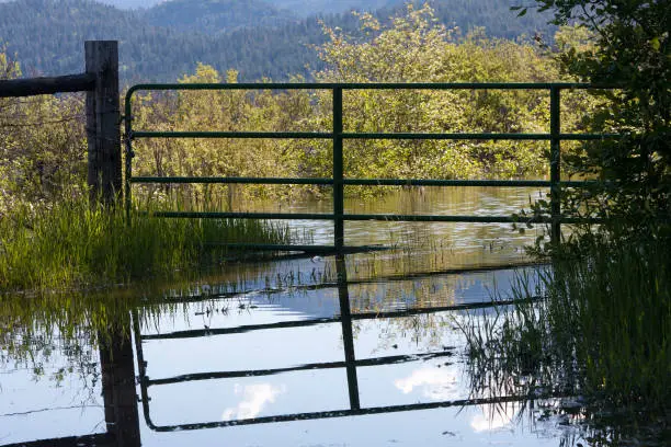 Flood waters provide a perfect reflection of a barred gate
