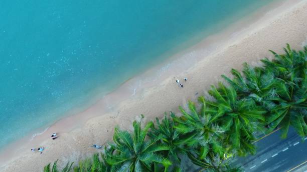 istock High Angle View Of People At Beach By Sea 1082496098
