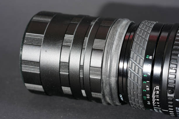 istock Macro photography and photomicrography 1082496156