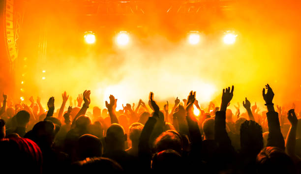 istock Crowd At Music Concert 1082496736