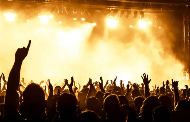 istock Crowd At Music Concert 1082496742