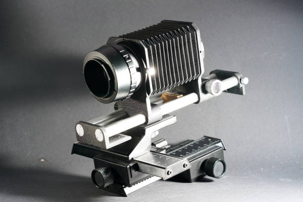 istock Macro photography and photomicrography 1082498082