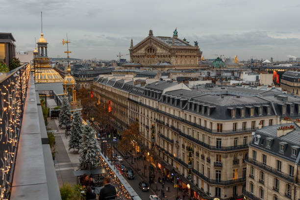 istock aerial view from the heights on paris and the eiffel tower 1082498390