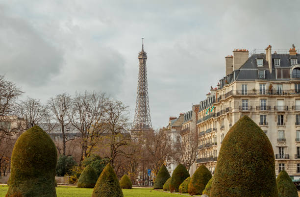 istock view of the eiffel tower among trees and bushes 1082498438