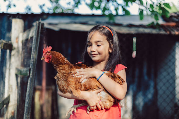 istock Girl hugging a brown hen 1082500292