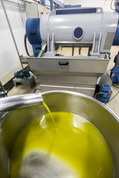 herstellung von olivenöl extra vergine, kalte verarbeitung - olive oil pouring antioxidant liquid stock-fotos und bilder