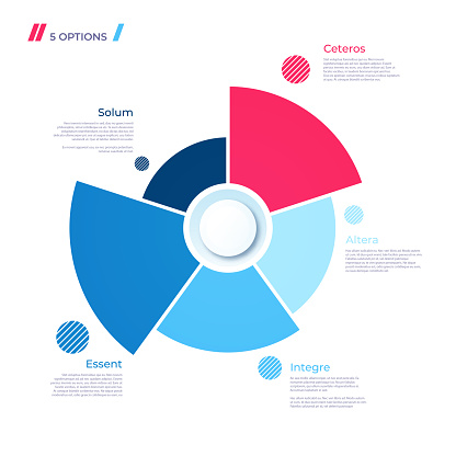 Pie chart concept with 5 parts. Vector template for web, presentations, reports, visualizations