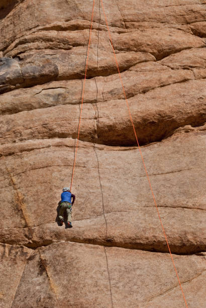 Rock Climbing at Joshua Tree National Park Joshua Tree National Park in California attracts rock climbers from all over the world. This high desert gneiss formation climbing mecca is famous for its traditional crack, slab, and steep face climbing.  This woman climber is making her way up an almost vertical face while being belayed from below. jeff goulden joshua tree national park stock pictures, royalty-free photos & images