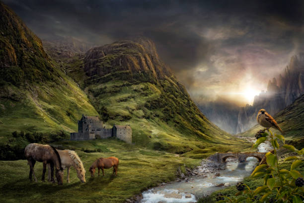 istock At the end of summer 1082529332