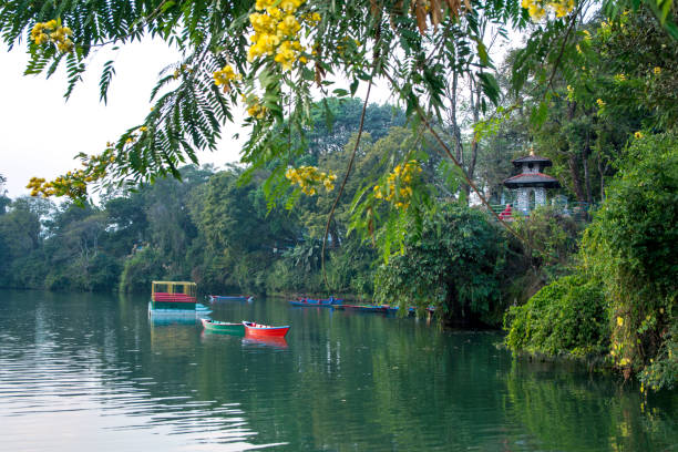 costa verde del lago fewa, pokhara. pequeño templo hindú y árboles con flores. - phew fotografías e imágenes de stock