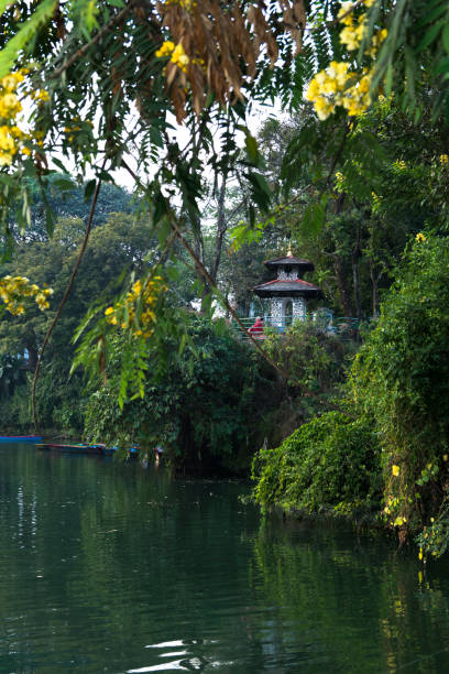 costa verde del lago fewa, pokhara. pequeño templo hindú y árboles con flores. - phew fotografías e imágenes de stock