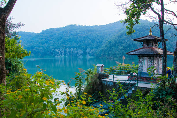 costa verde do lago fewa, pokhara. pequeno templo hindu e árvores floridas. - phew - fotografias e filmes do acervo