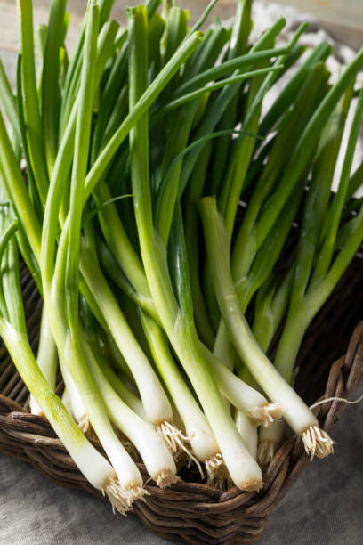 istock Raw Organic Green Onions 1082533336