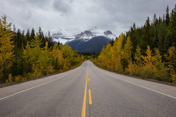 istock Scenic Road in Banff 1082536790