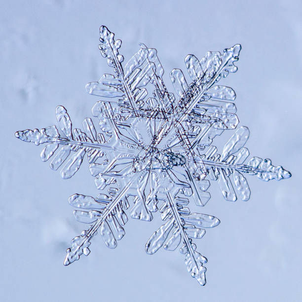 istock Beautiful snow flake on a light blue background close up 1082538304