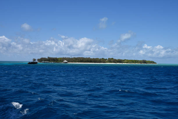istock Heron Island, Great Barrier Reef, Australia 1082542346