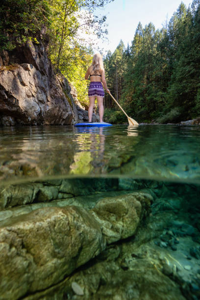 Girl Paddle Boarding Over and Under Picture of a young Caucasian girl paddle boarding in a river during a sunny summer day. Taken in Alouette Lake, near Vancouver, BC, Canada. alouette lake stock pictures, royalty-free photos & images