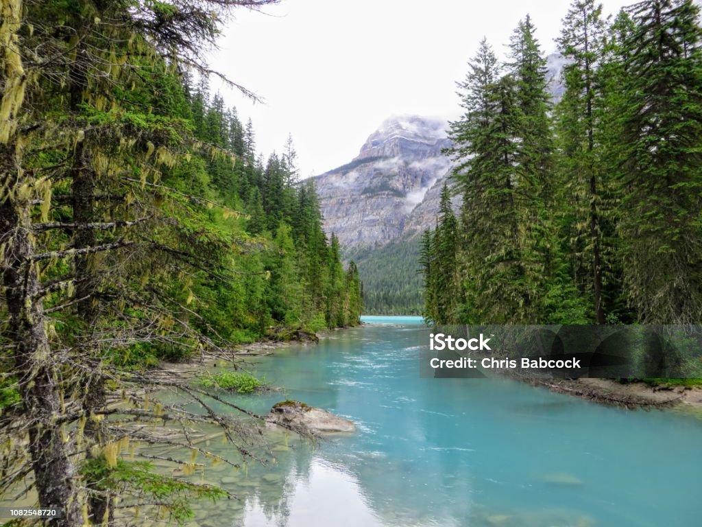 A remote turquoise river feeding into Kinney Lake, deep in the wilderness of the Rockies A remote turquoise river feeding into Kinney Lake, deep in the wilderness of the Rockies.  This photo was taken along the Berg Lake Trail in Mount Robson Provincial Park, British Columbia, Canada. BC Stock Photo