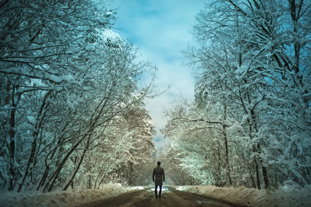 istock The man walk on the forest road. evening night time 1082549564