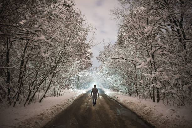 istock The man walk on the forest road. evening night time 1082549616