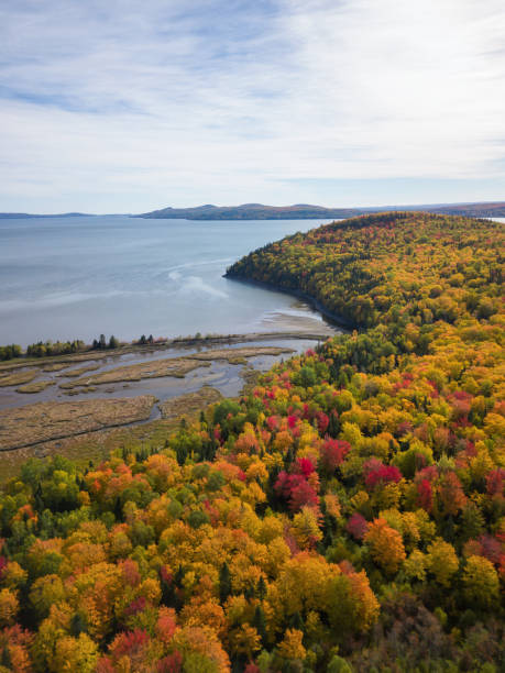 istock Aerial Autumn Landscape 1082552740