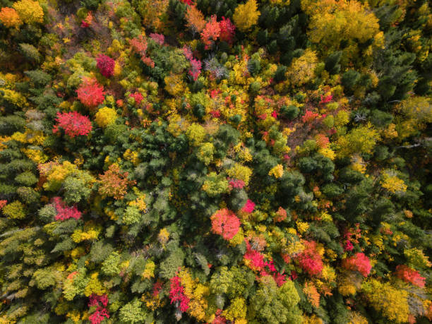 istock Aerial Autumn Landscape 1082552762