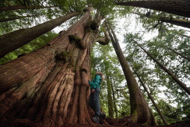 istock Girl in Nature 1082568026