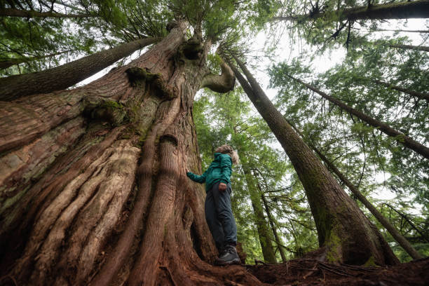 istock Girl in Nature 1082568062